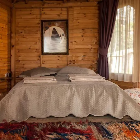 Gemile Camping Hotel