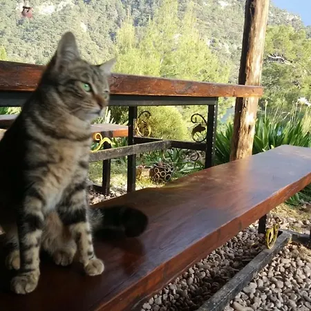 Gemile Camping * Faralya