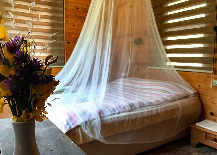 Hotell Gemile Camping *