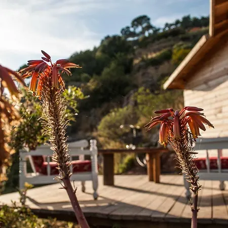 酒店 Gemile Camping 法拉尔雅