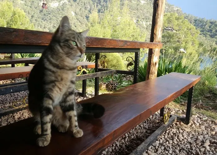 Gemile Camping * Faralya